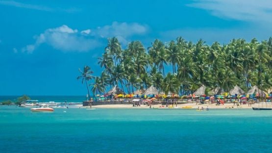 Dia Inteiro em Praia dos Carneiros (Sa&iacute;da Recife) - Regular (C&oacute;d. 585)