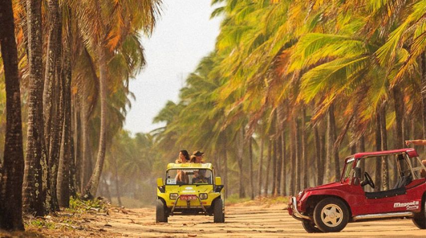 Passeio de Buggy Ponto a Ponto em Porto de Galinhas - 2h (C&oacute;d. 630)