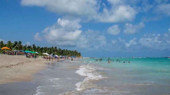 Dia Inteiro em Maragogi-AL (Sa&iacute;da Porto de Galinhas) - Regular (C&oacute;d. 174)