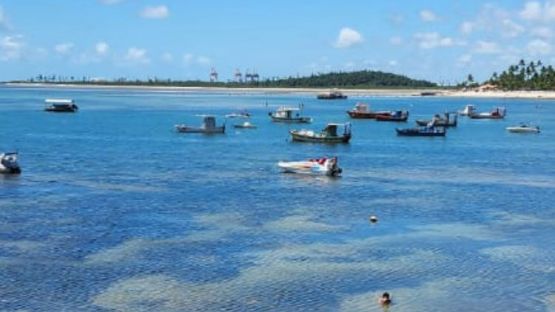 Dia Inteiro em Praia de Suape - Cabo de Santo Agostinho (Sa&iacute;da Porto de Galinhas) - Regular (C&oacute;d. 1445)